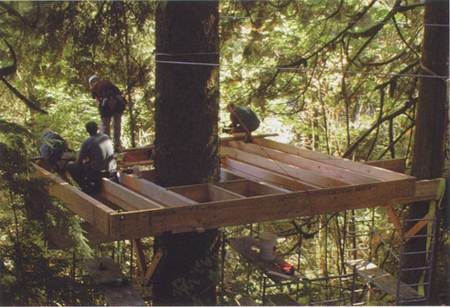 \"treehouse8.jpg\"